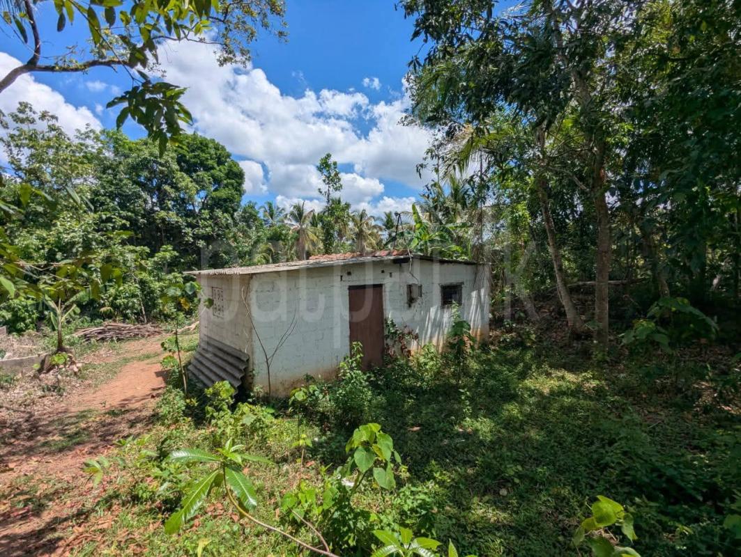 Residential Land for Sale in Ganemulla