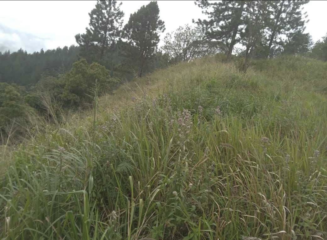 Commercial Land for Sale in Kundasale