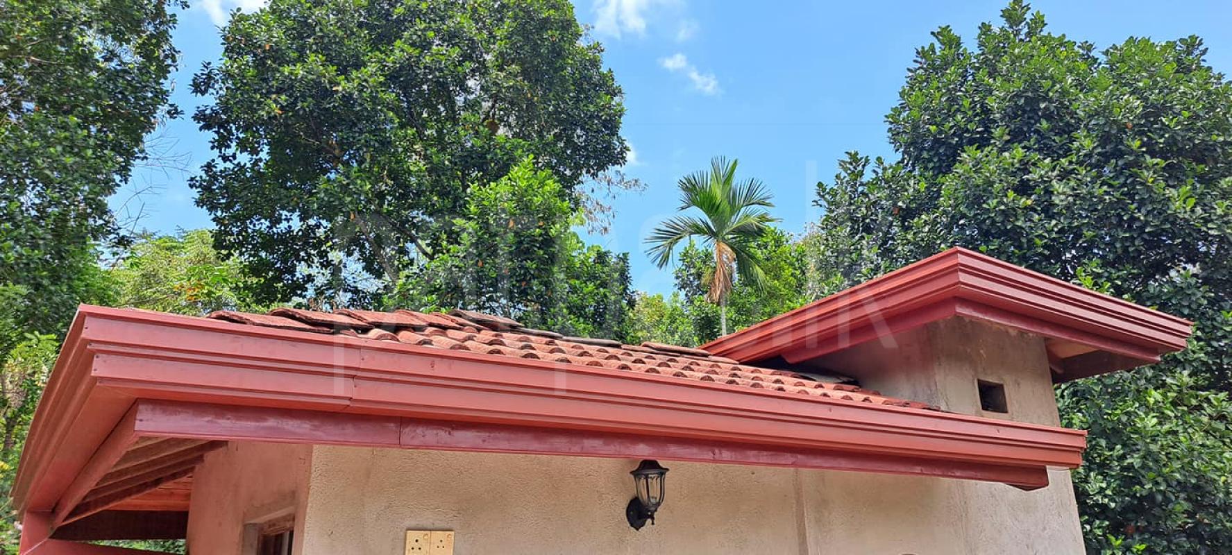 GUTTER FIXING