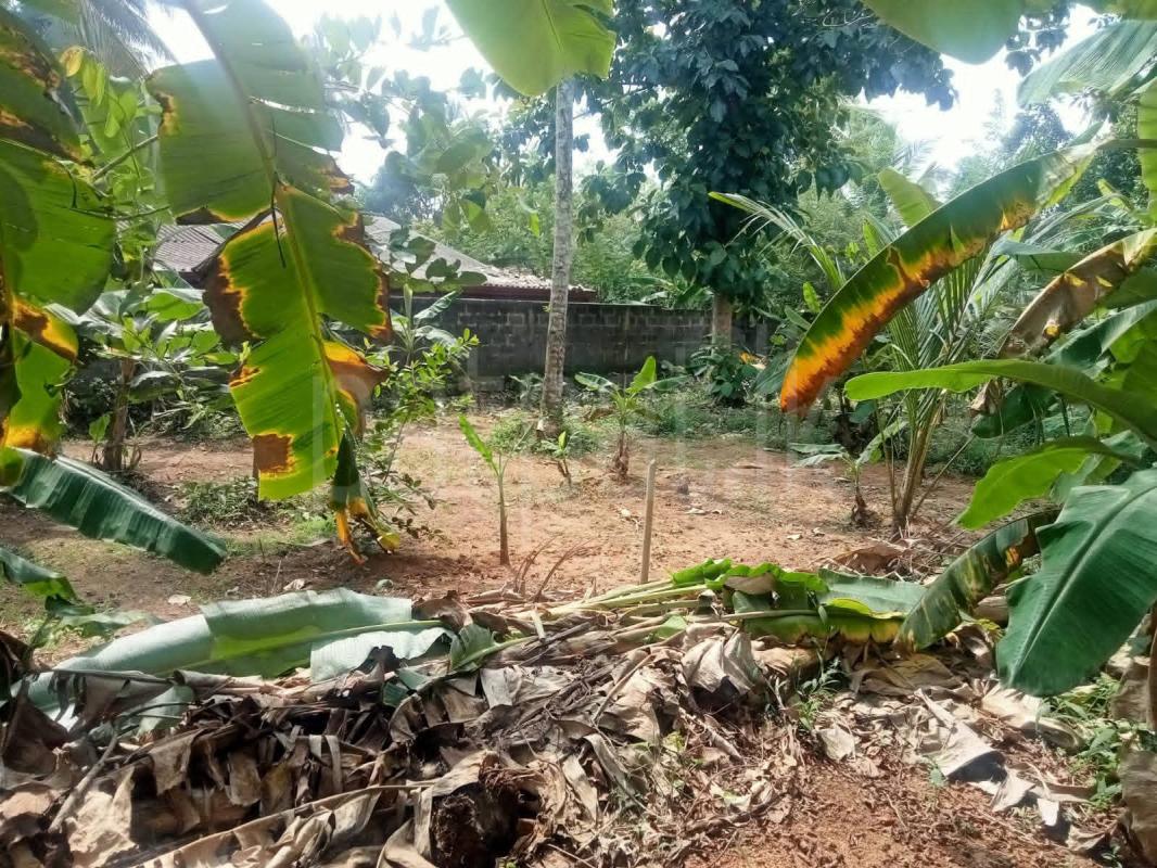 Residential Land for Sale in Kurunegala