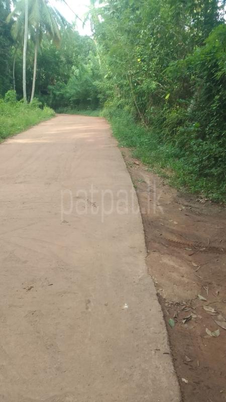 Residential Land for Sale in Minuwangoda ads-image-1