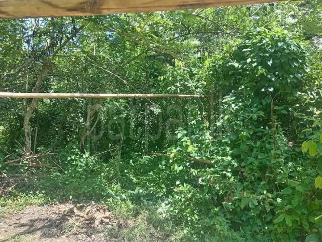 Residential Land for Sale in Galle ads-image-1