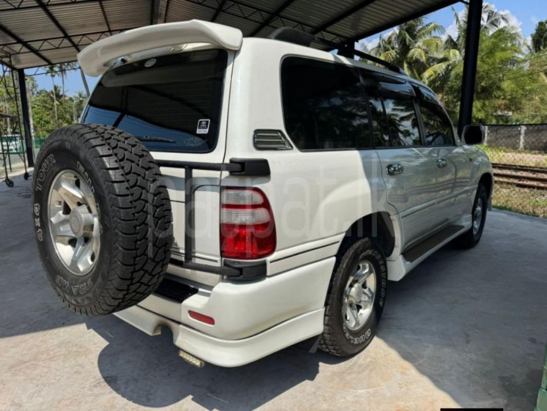 Advertisement image 3