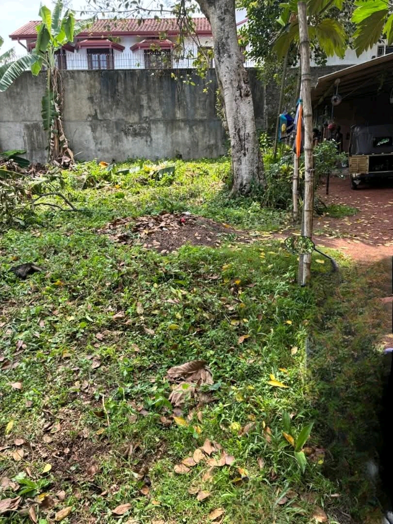 Residential Land for Sale in Kandana ads-image-1