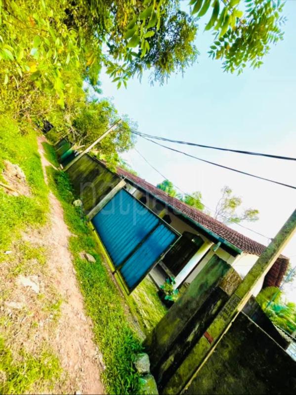 House for Sale in Kirillawala ads-image-1