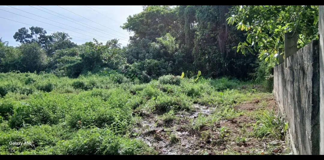 Residential Land for Sale in Horana