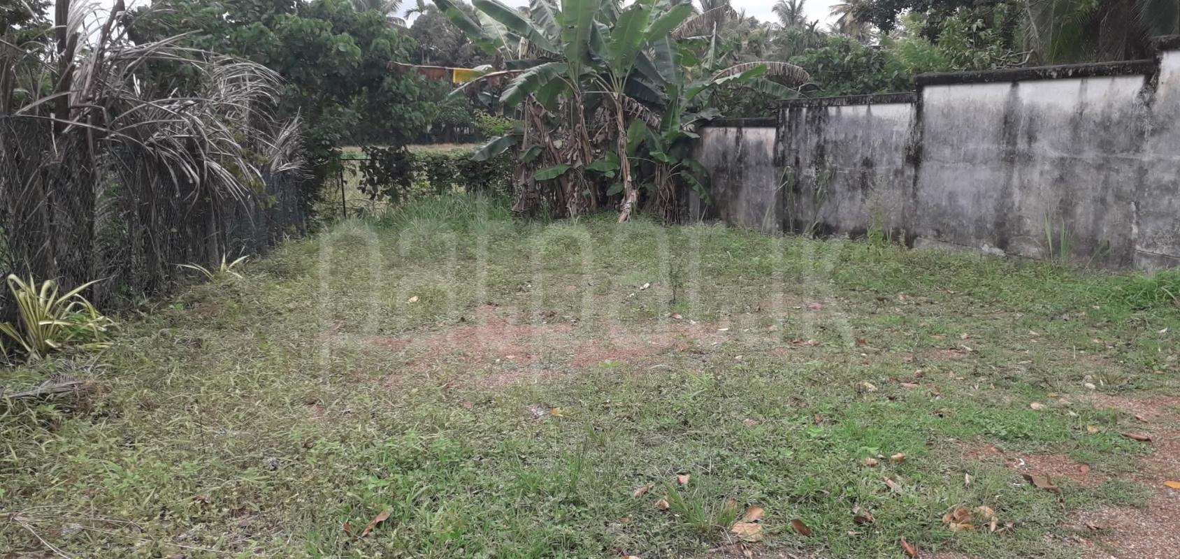 Residential Land for Sale in Homagama