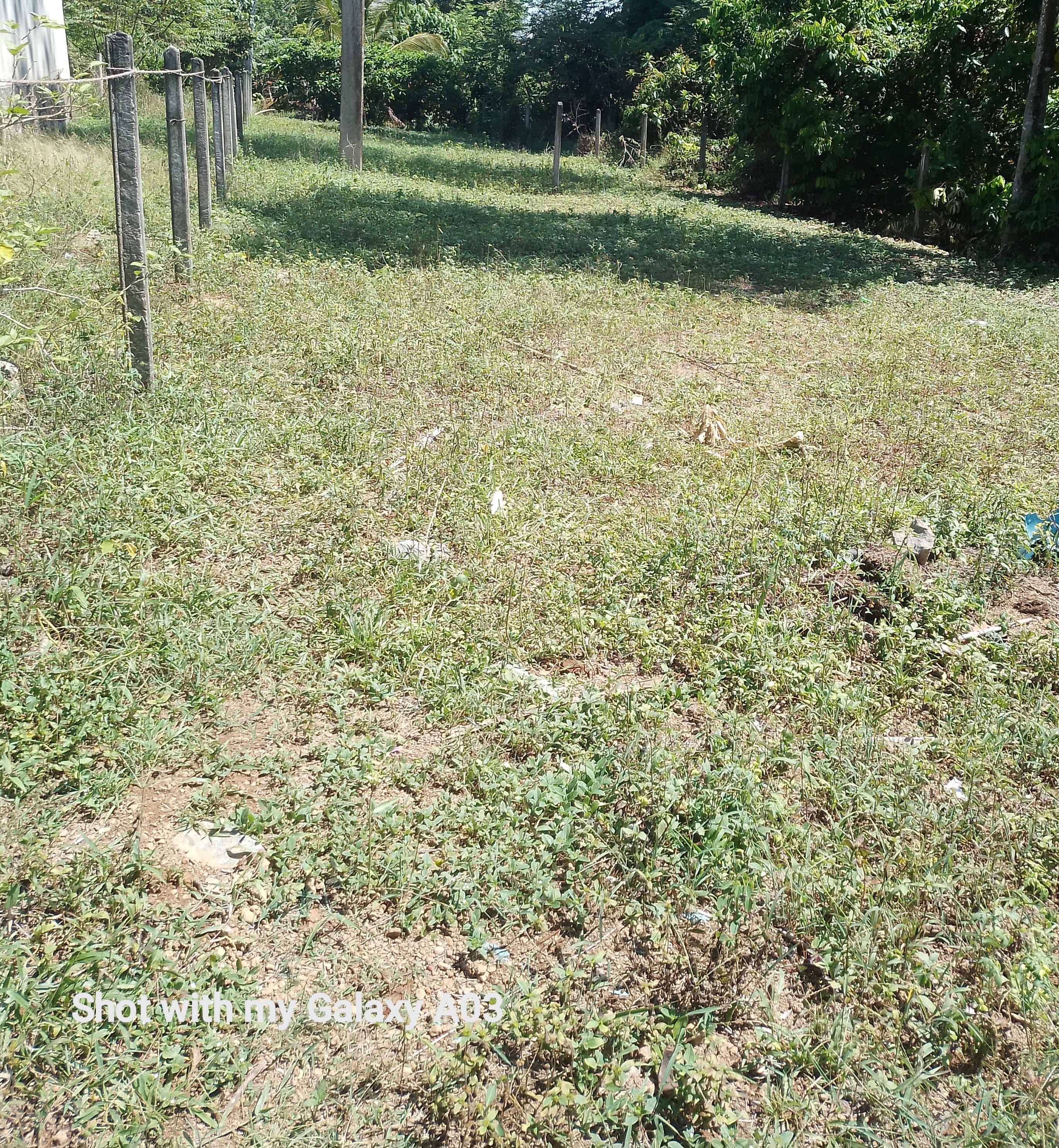 Residential Land for Sale in Polgasowita ads-image-1