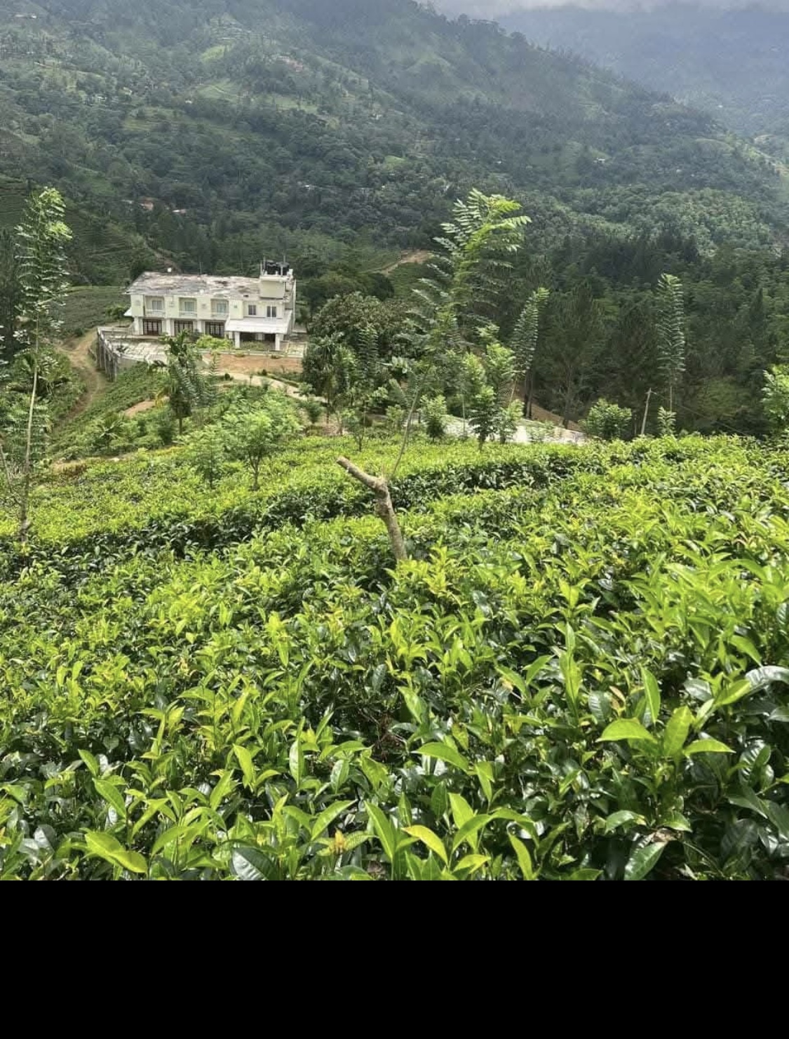 Agricultural Land for Sale in Kundasale