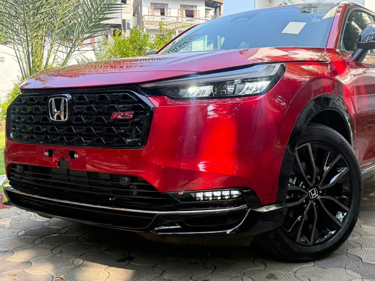 Advertisement image 3