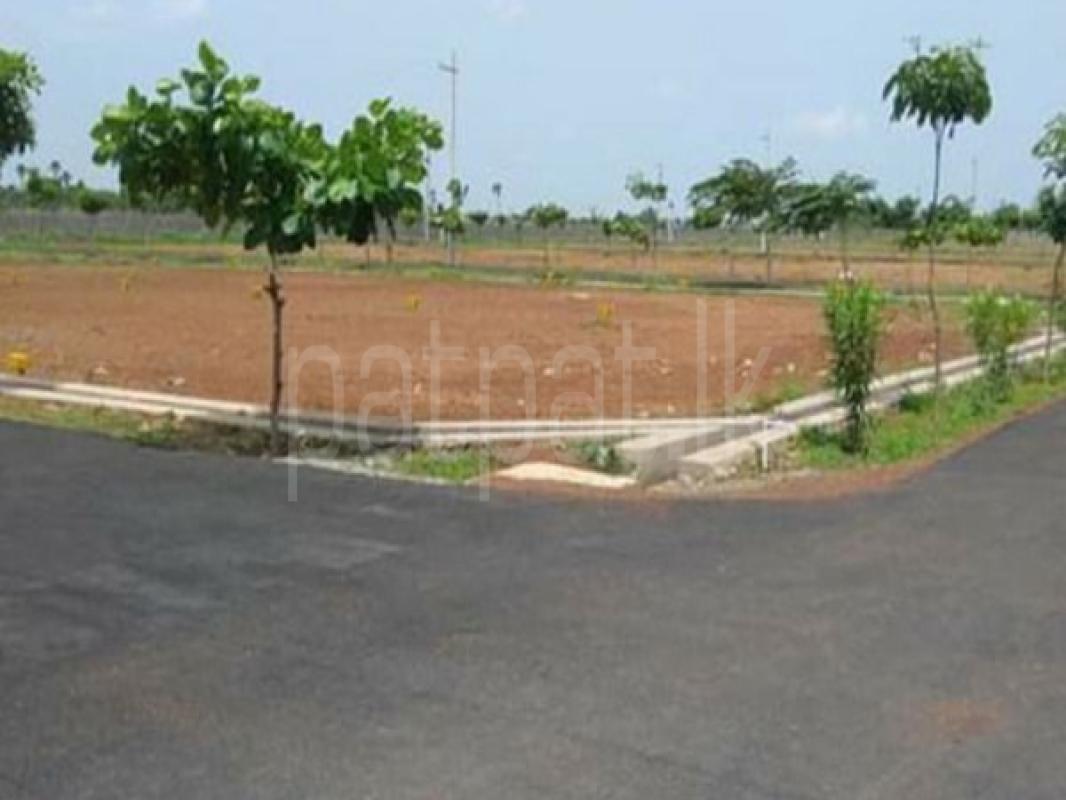 Commercial Land for Sale in Grandpass (Colombo 14)