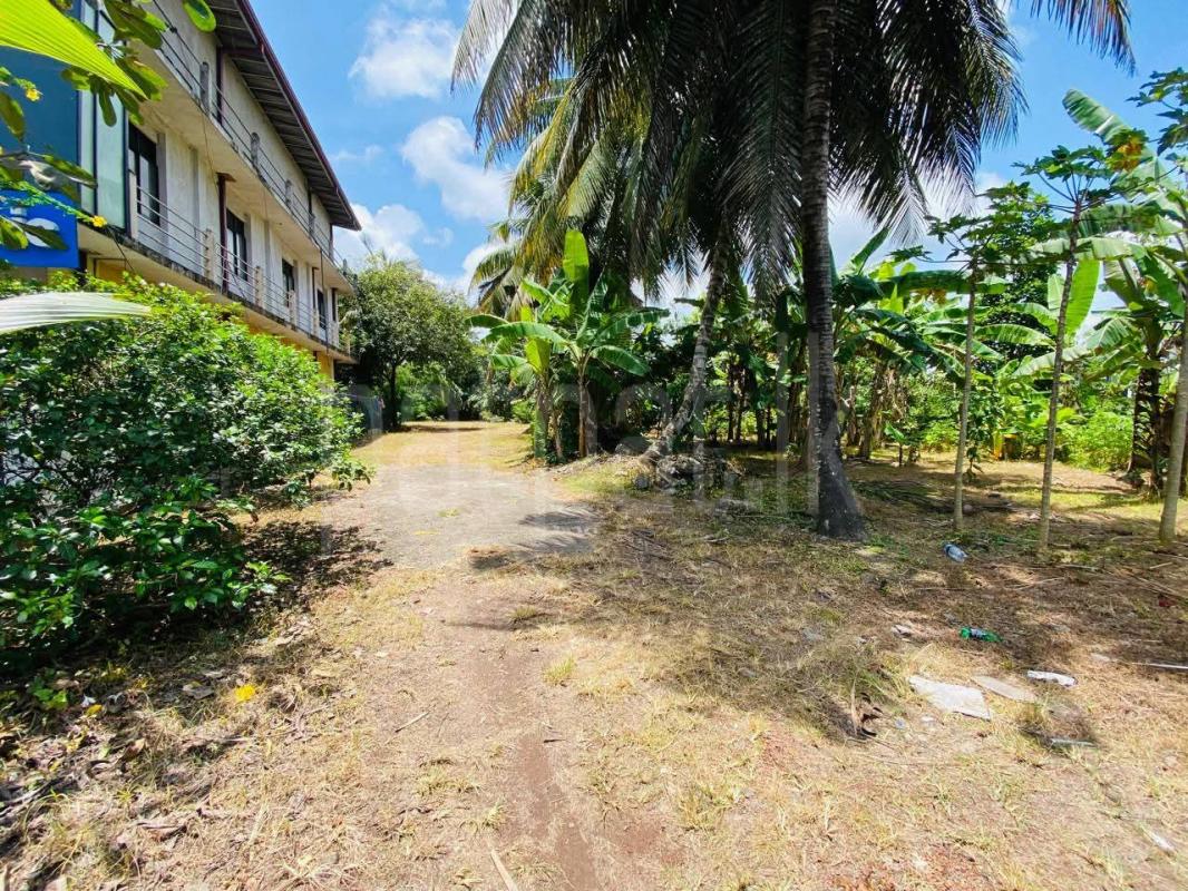 premium-listing-image