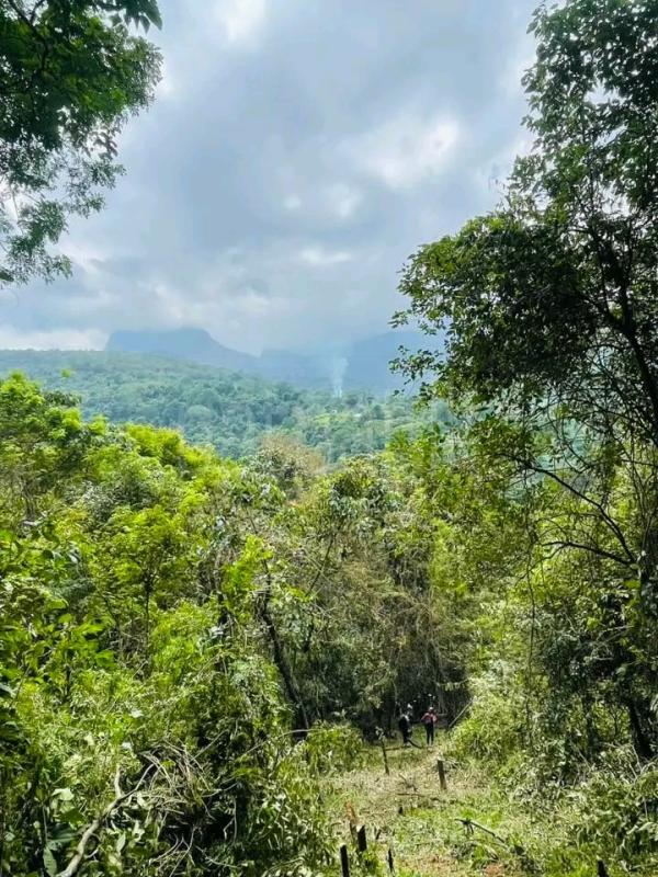 Agricultural Land for Sale in Kandalama