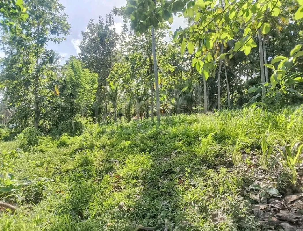 Agricultural Land for Sale in Maho