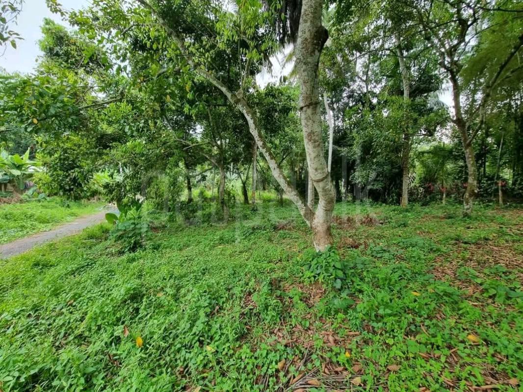 Residential Land for Sale in Kadawatha