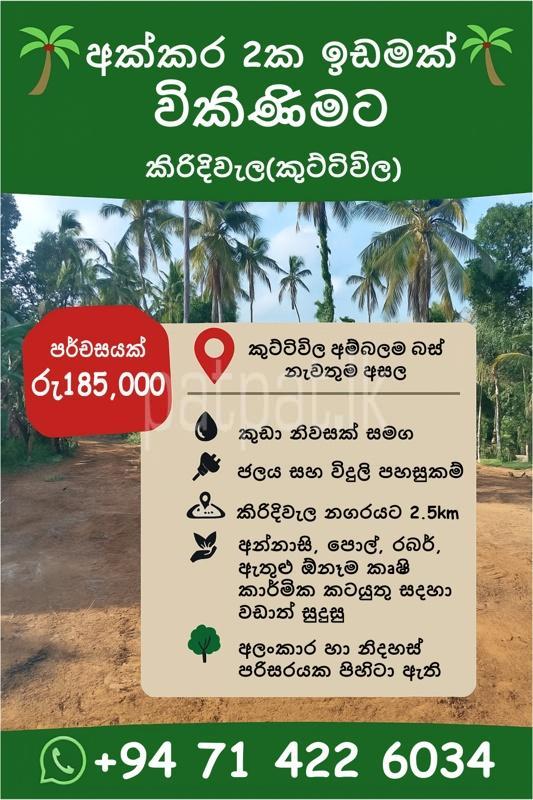 Advertisement image 1