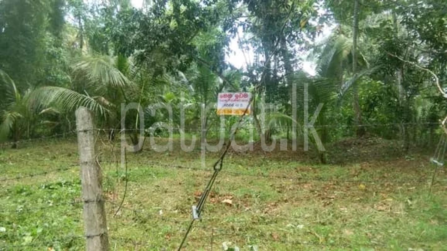 Advertisement image 1