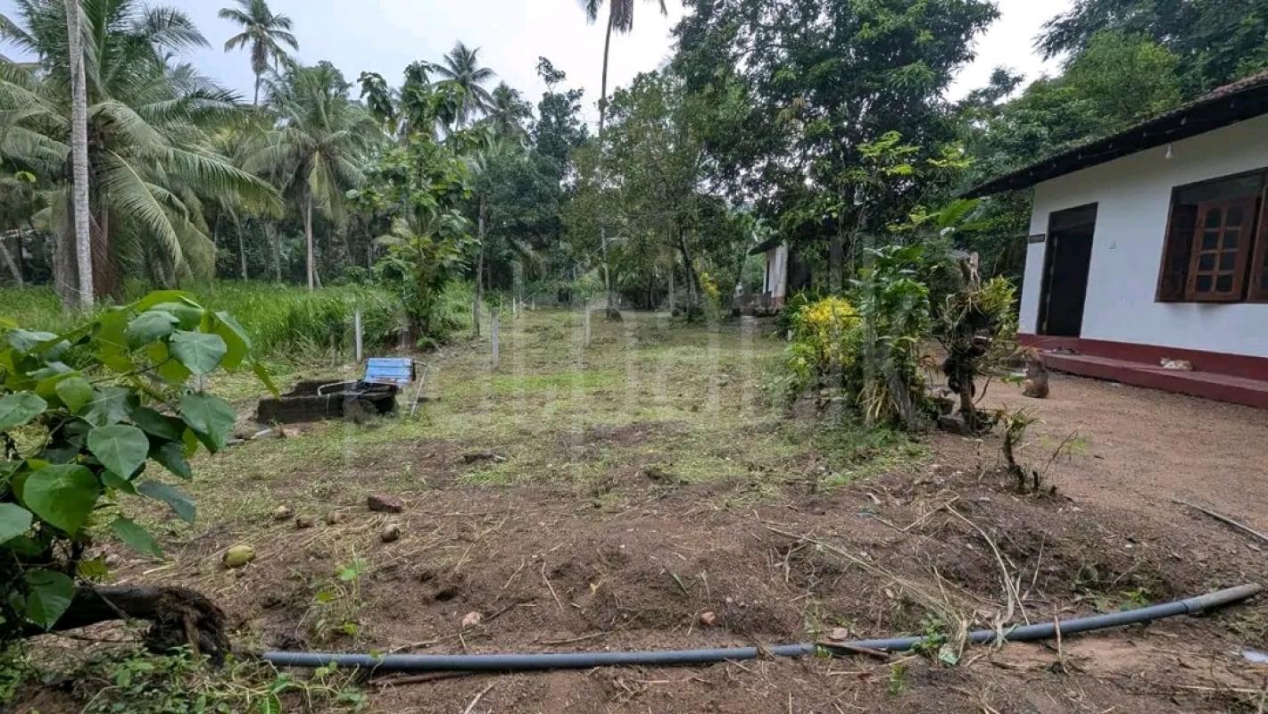 Residential Land for Sale in Horana