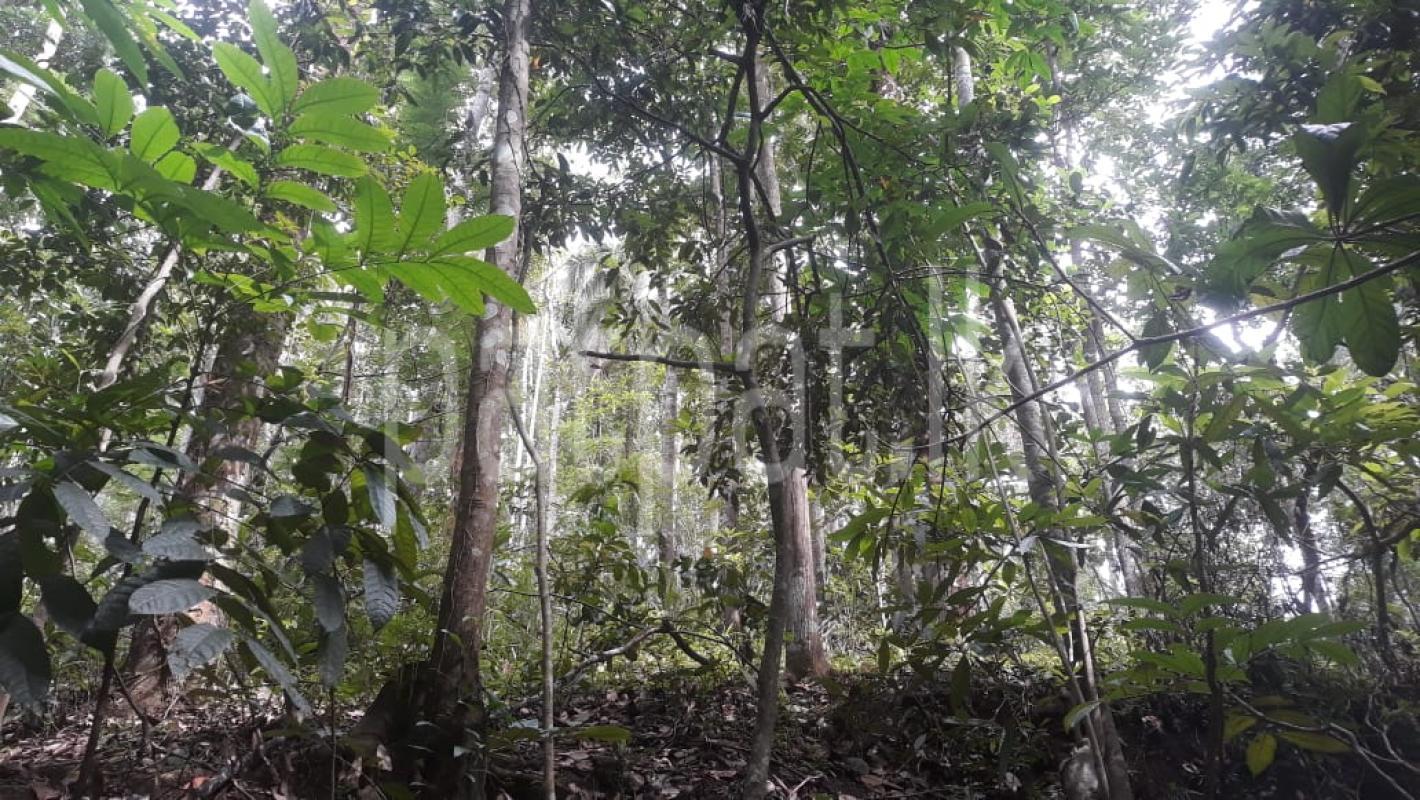 premium-listing-image