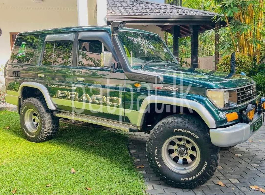 Advertisement image 3