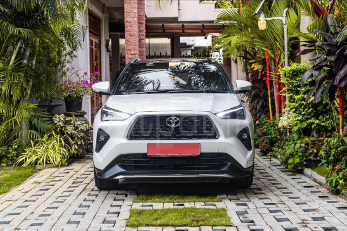 Advertisement image 2