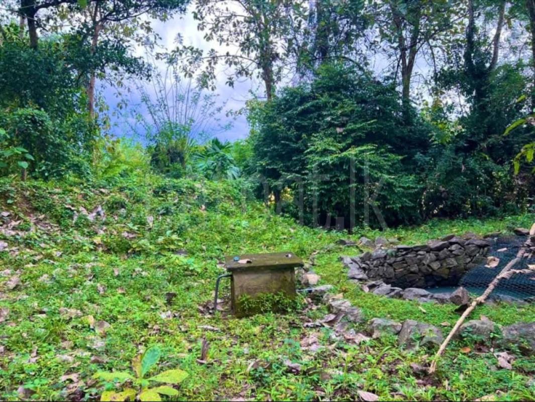 Agricultural Land for Sale in Kurunegala ads-image-1