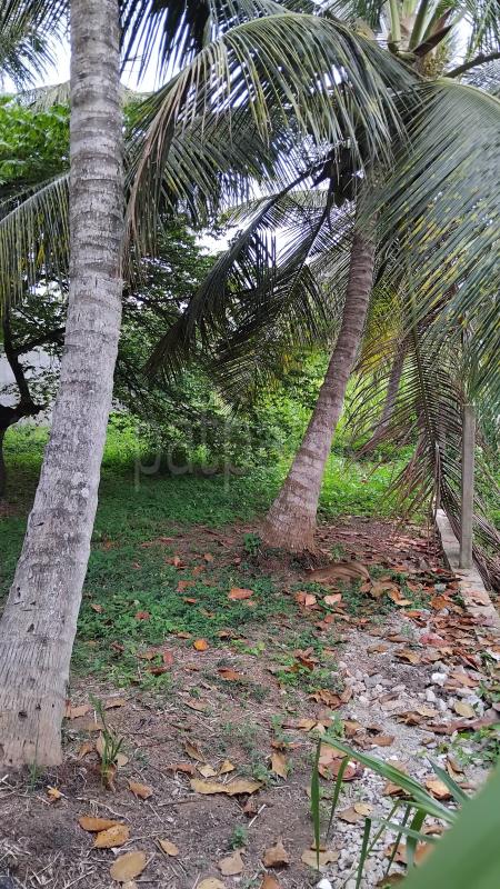 Residential Land for Sale in Negombo