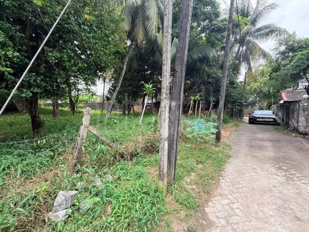 Agricultural Land for Sale in Boralesgamuwa