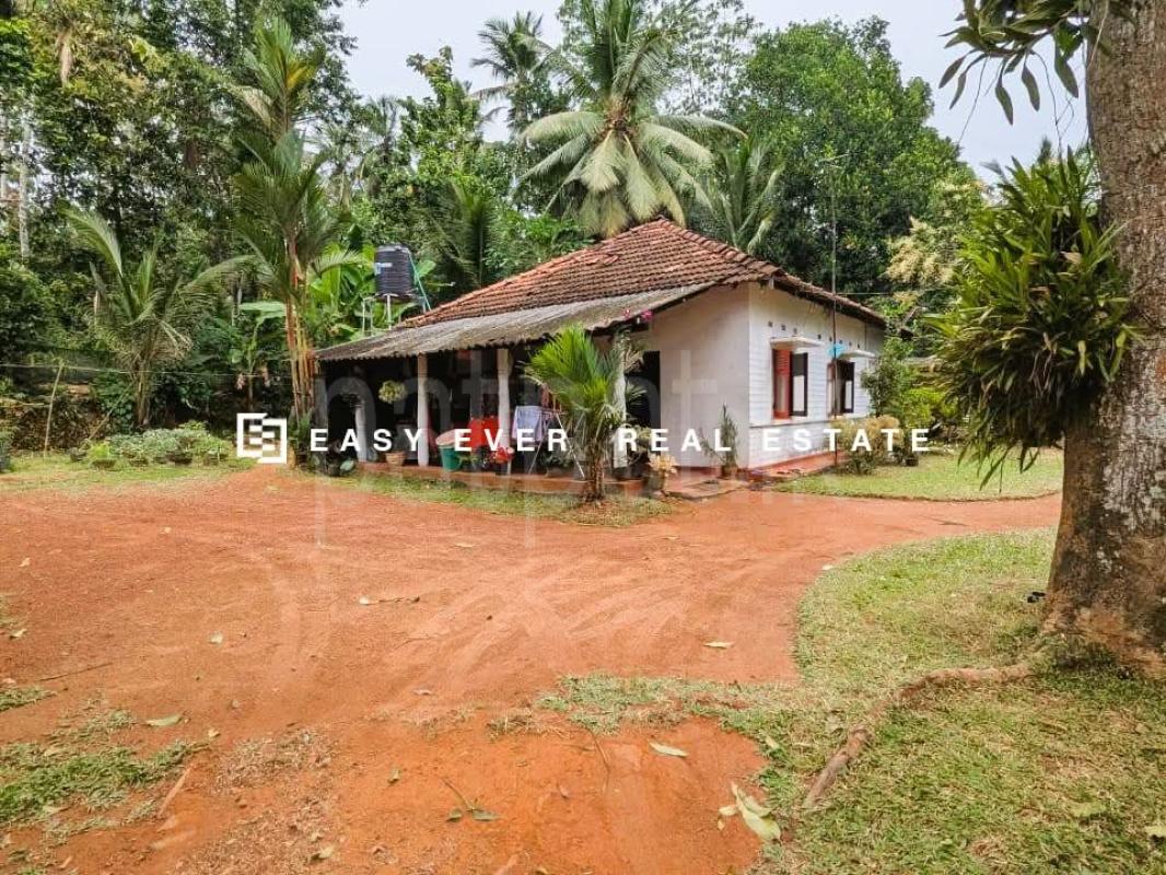 Residential Land for Sale in Ganemulla