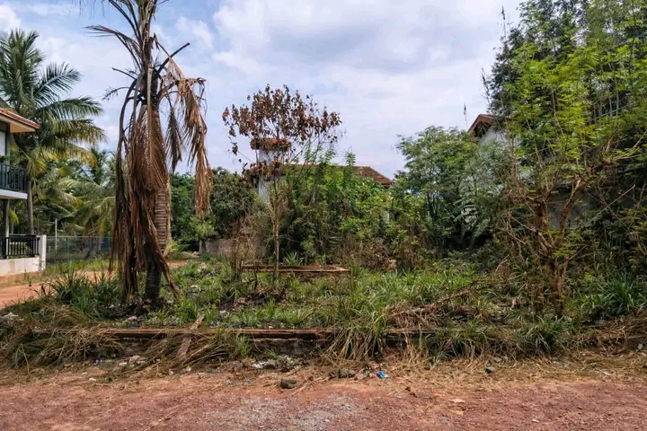 Commercial Land for Sale in Katunayake
