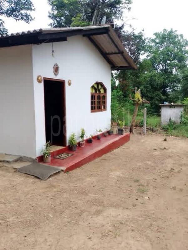 House for Sale in Piliyandala
