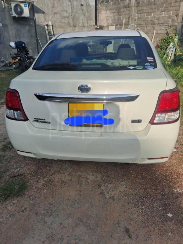 Advertisement image 3