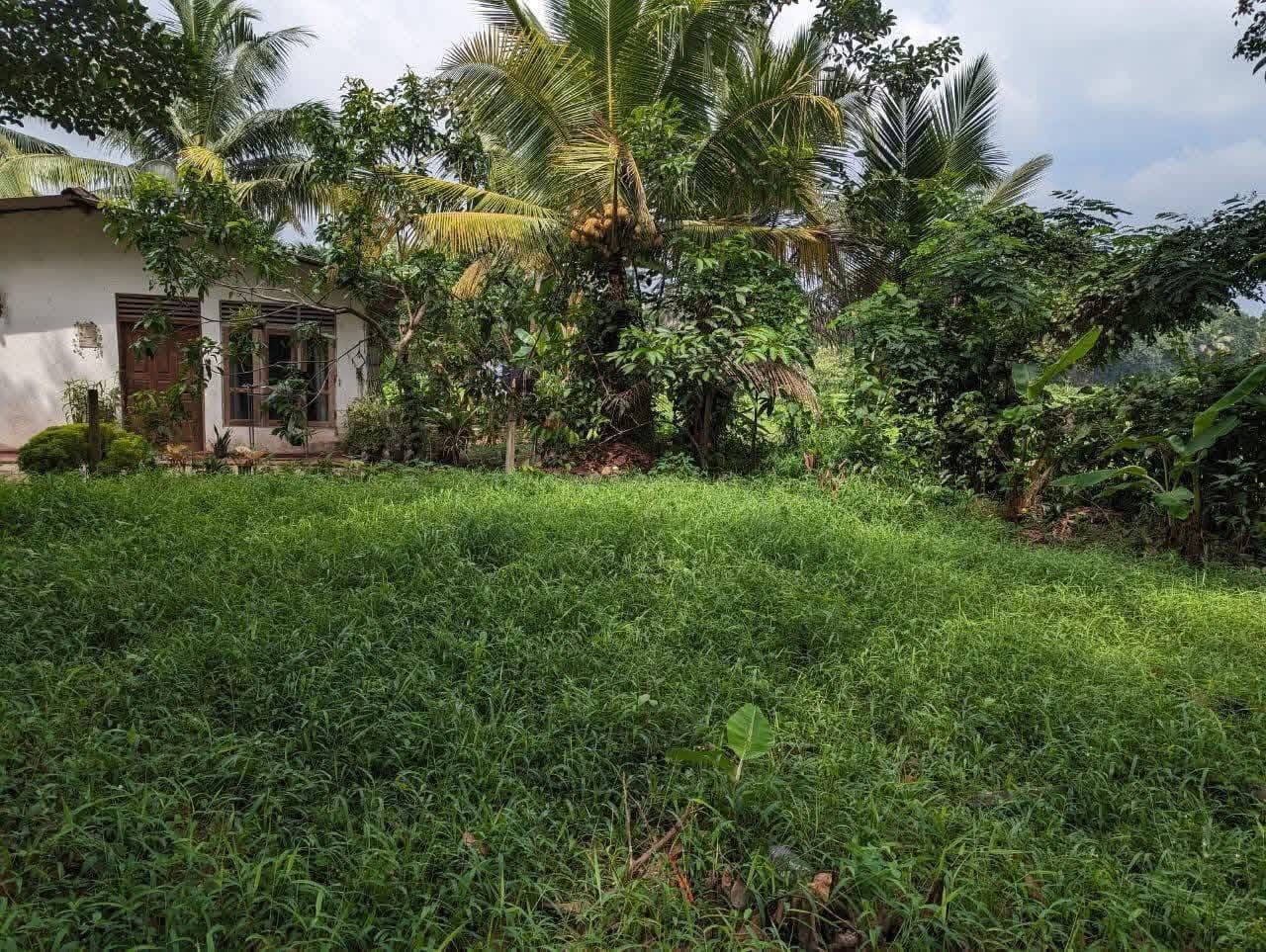 Residential Land for Sale in Kadawatha