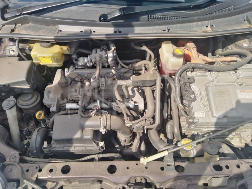 Advertisement image 6