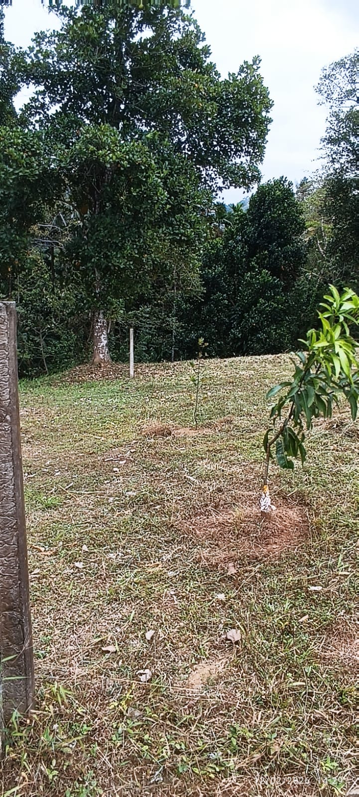 Commercial Land for Sale in Galagedara