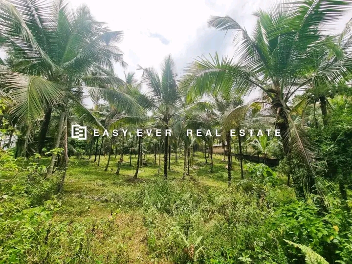 Commercial Land for Sale in Minuwangoda
