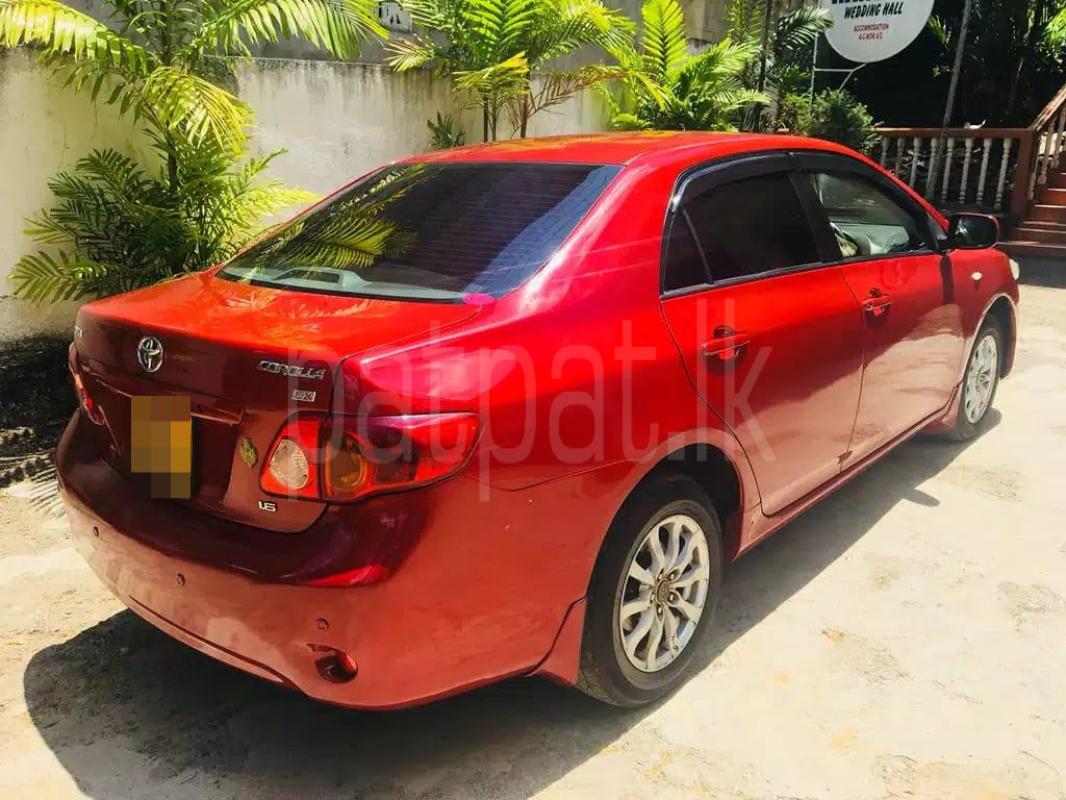 Advertisement image 2