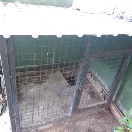 Dog Cage for Sale In Kandy (Peradeniya)