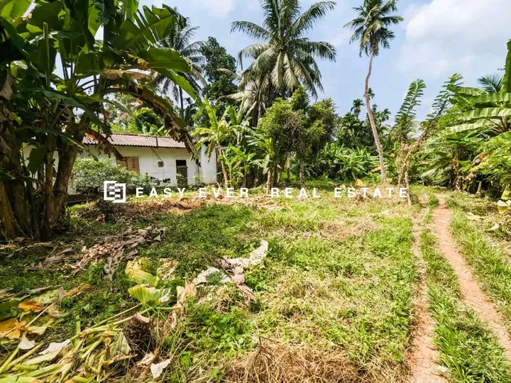 Commercial Land for Sale in Minuwangoda