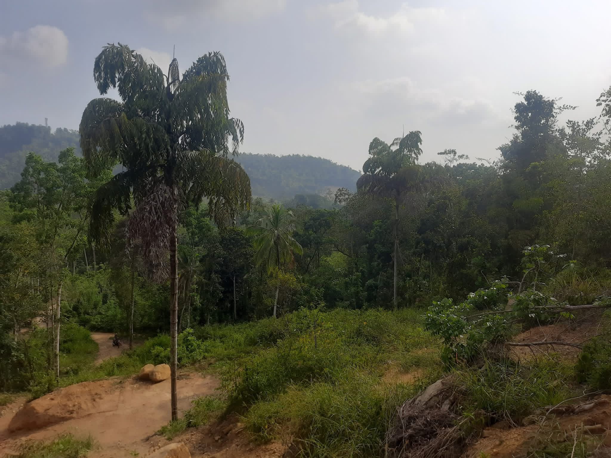 Residential Land for Sale in Galle