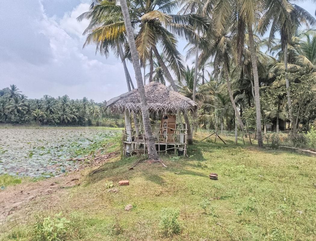 Commercial Land for Sale in Weeraketiya ads-image-1