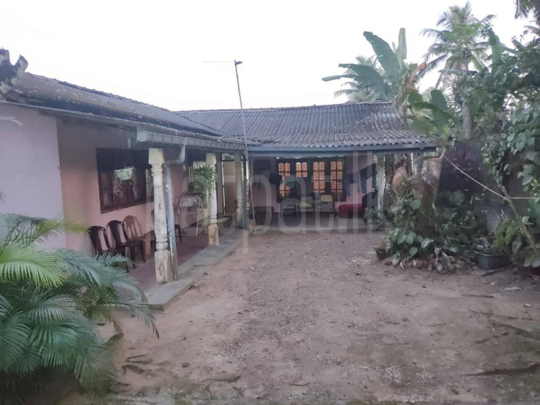House for Sale in Watareka
