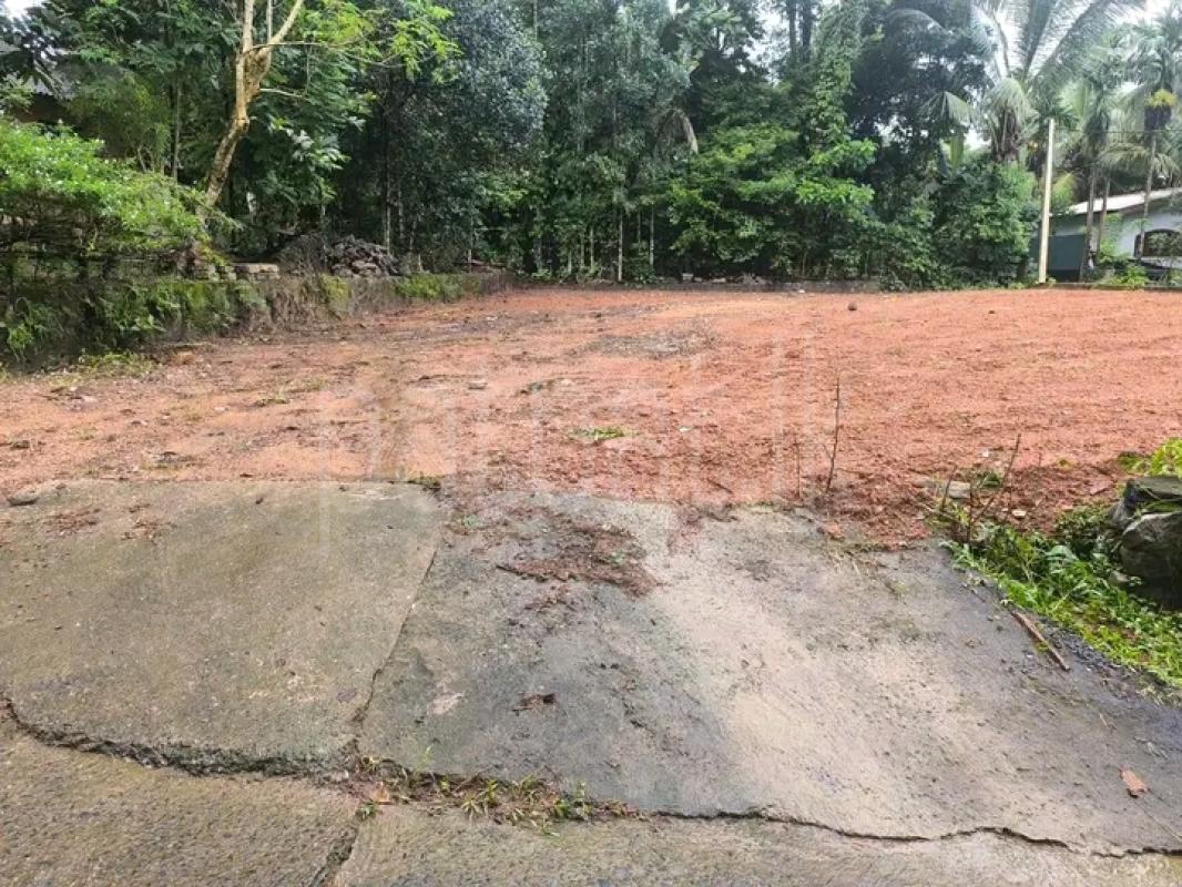 Commercial Land for Sale in Horana