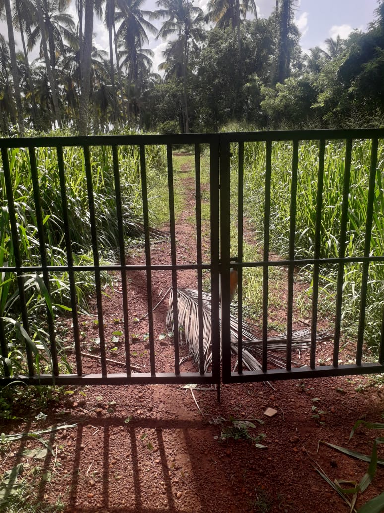 Agricultural Land for Sale in Dunagaha