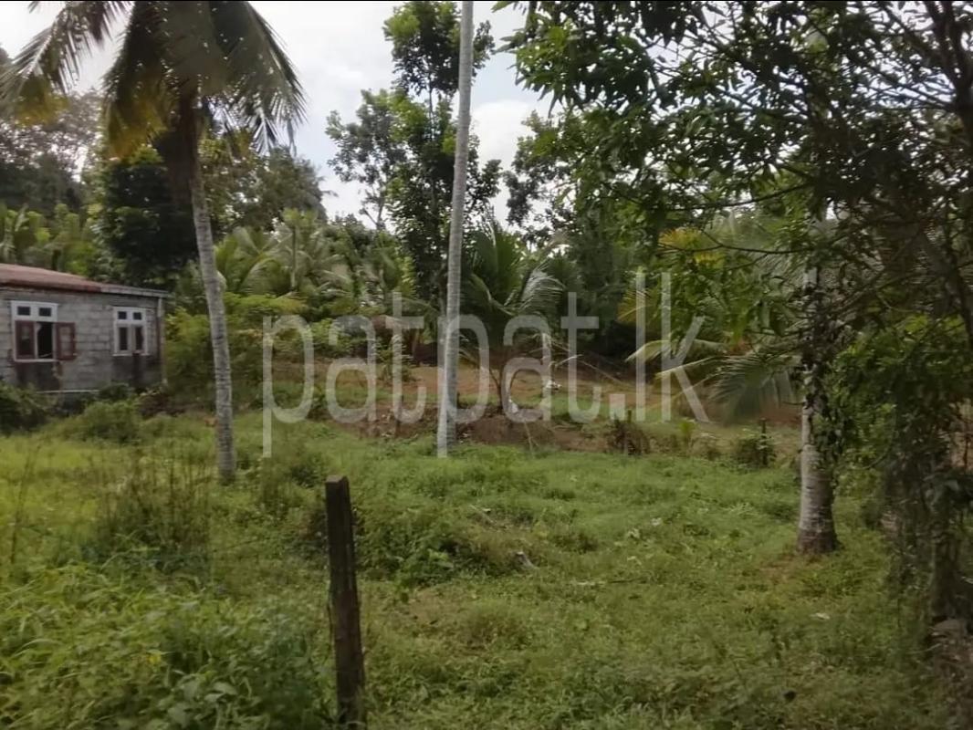 Advertisement image 1