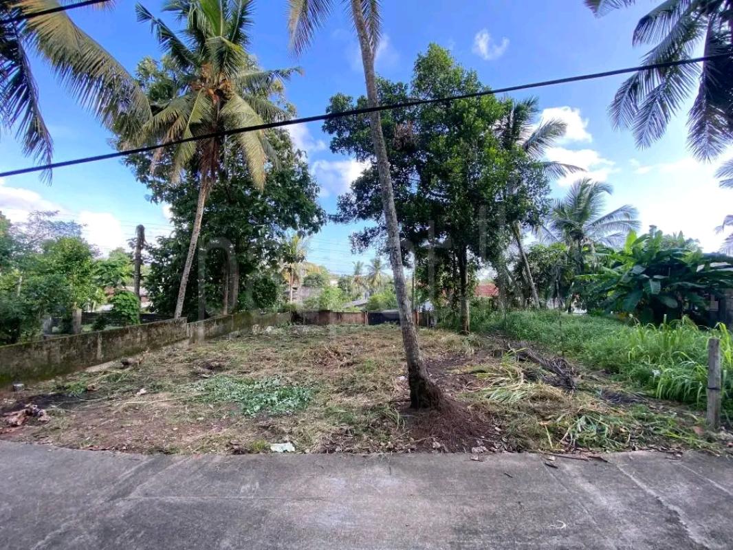 Agricultural Land for Sale in Gampola