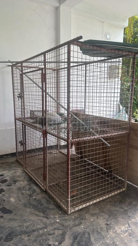 Cage