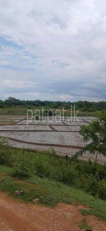 Residential Land for Sale in Kataragama