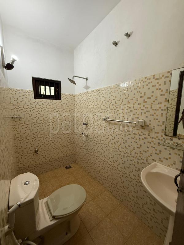 Advertisement image 11