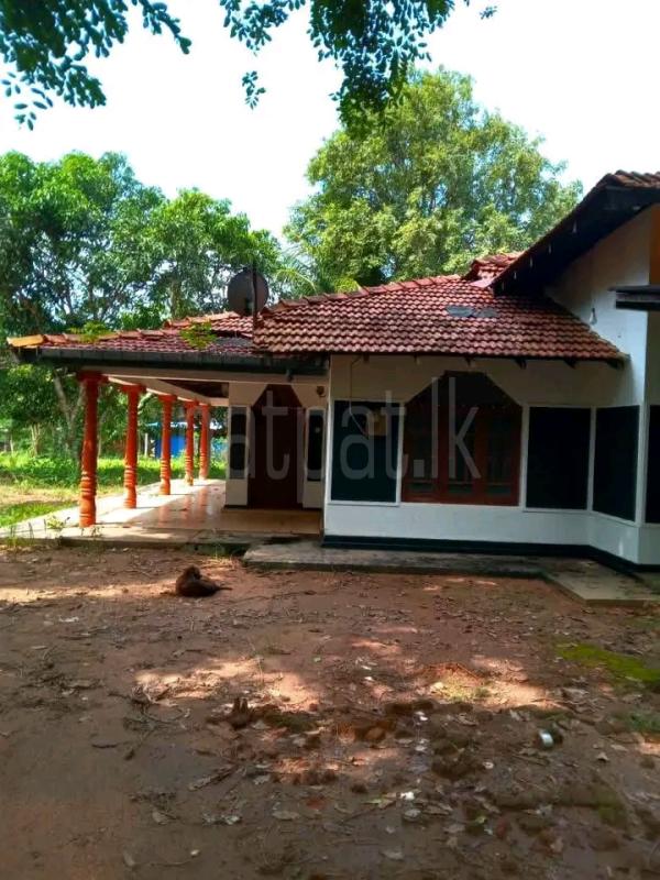 House for Sale in Ambanpola